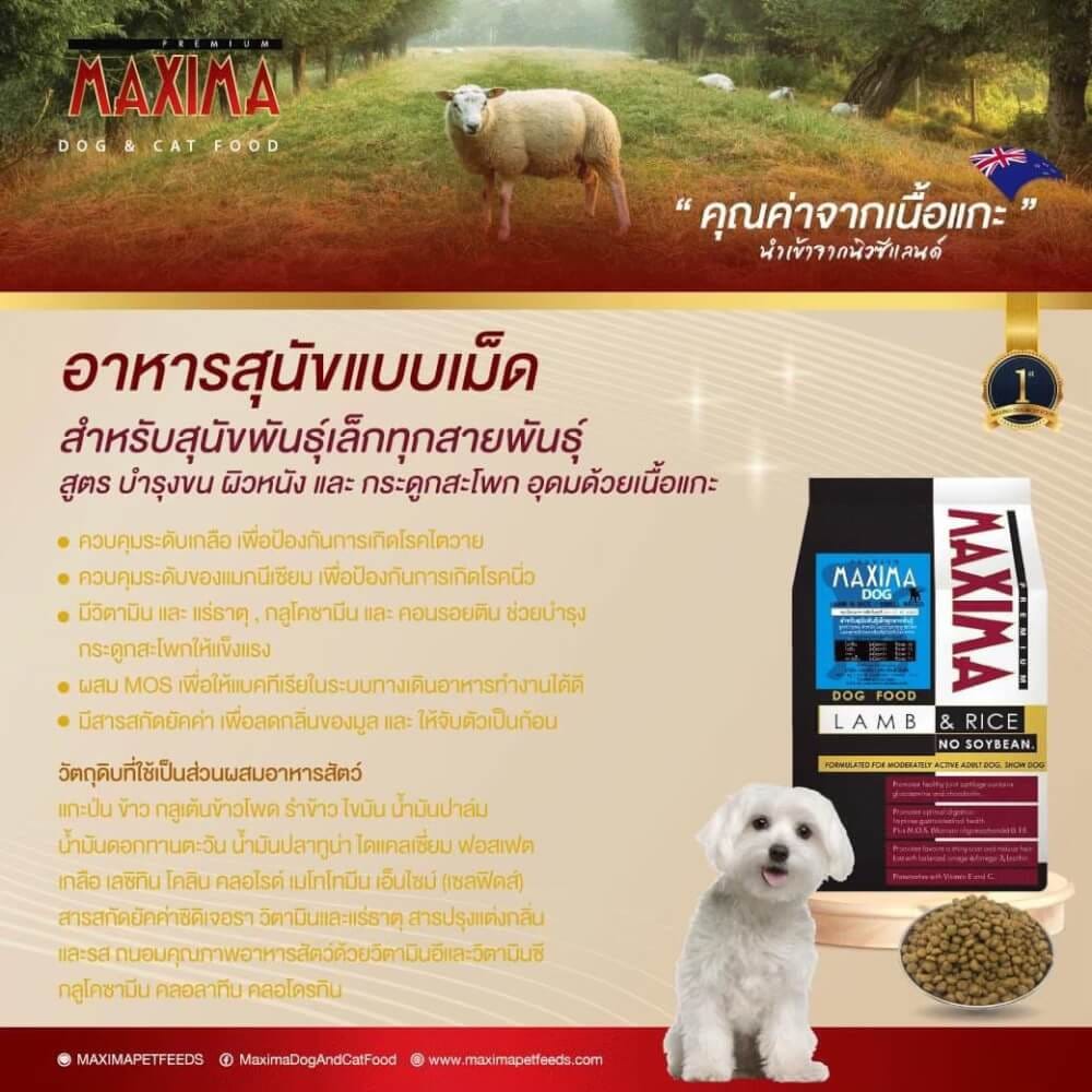 อาหารเม็ด สำหรับสุนัข แม็กซีม่า สายพันธุ์เล็ก 2 กก. แถม อาหารเปียกสุนัข แม็กซีม่า สูตรดูแล ผิวหนัง และ เส้นขน 380 กรัม