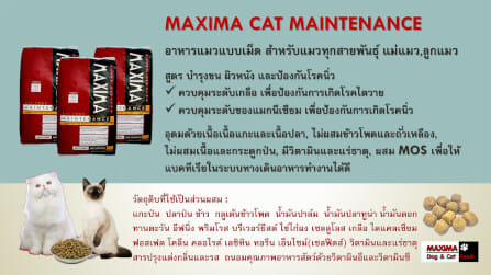 อาหารเม็ด สำหรับแมว แม็กซีม่า 2 กก_4