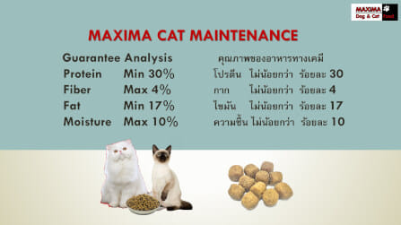 อาหารเม็ด สำหรับแมว แม็กซีม่า 2 กก_5