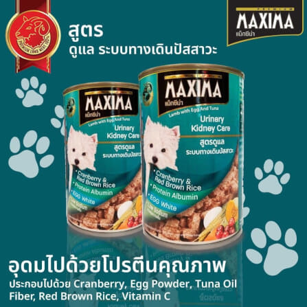 อาหารเปียกสุนัข แม็กซีม่า สูตรดูแล ระบบทางเดินปัสสาวะ 380 กรัม x24_5