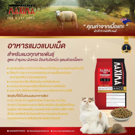 อาหารเม็ด สำหรับแมว แม็กซีม่า 2 กก_7