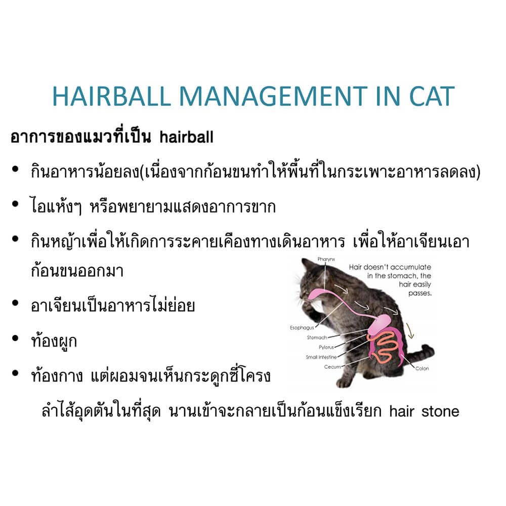 อาหารเสริม สำหรับสุนัขและแมว วิตามินช่วยระบายก้อนขน แฮโทน เจล 70 กรัม