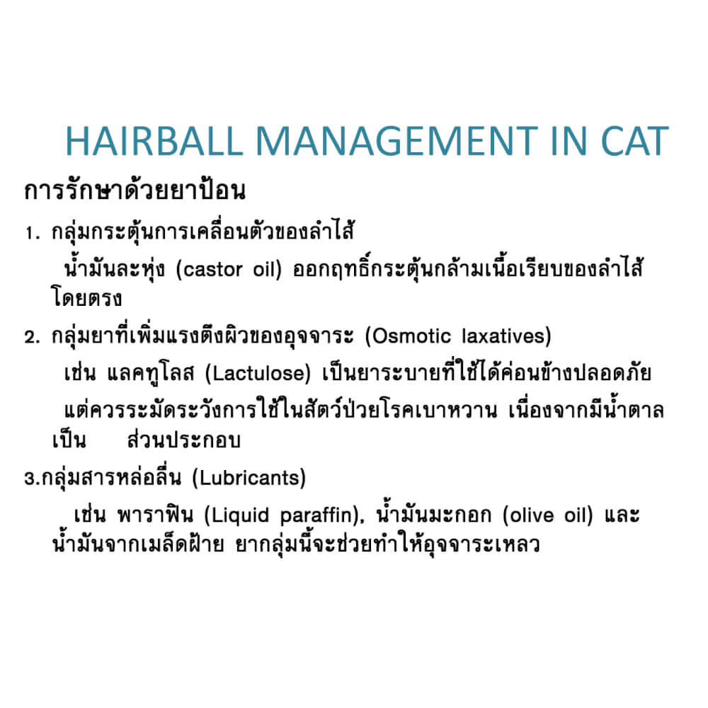 อาหารเสริม สำหรับสุนัขและแมว วิตามินช่วยระบายก้อนขน แฮโทน เจล 70 กรัม