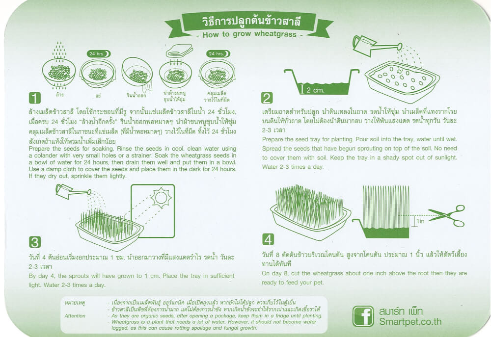 ชุดปลูกข้าวสาลี ออร์แกนิค สำหรับสัตว์เลี้ยง สมาร์ทกลาส 350 กรัม