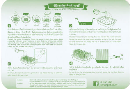 ชุดปลูกข้าวสาลี ออร์แกนิค สำหรับสัตว์เลี้ยง สมาร์ทกลาส 350 กรัม_5
