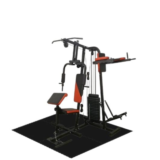 โฮมยิม 2 สถานี CORE FITNESS - PRO SET_0