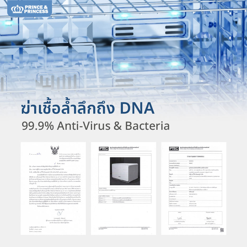เครื่องอบยูวี PRINCE & PRINCESS รุ่น UV TECH 30 ลิตร