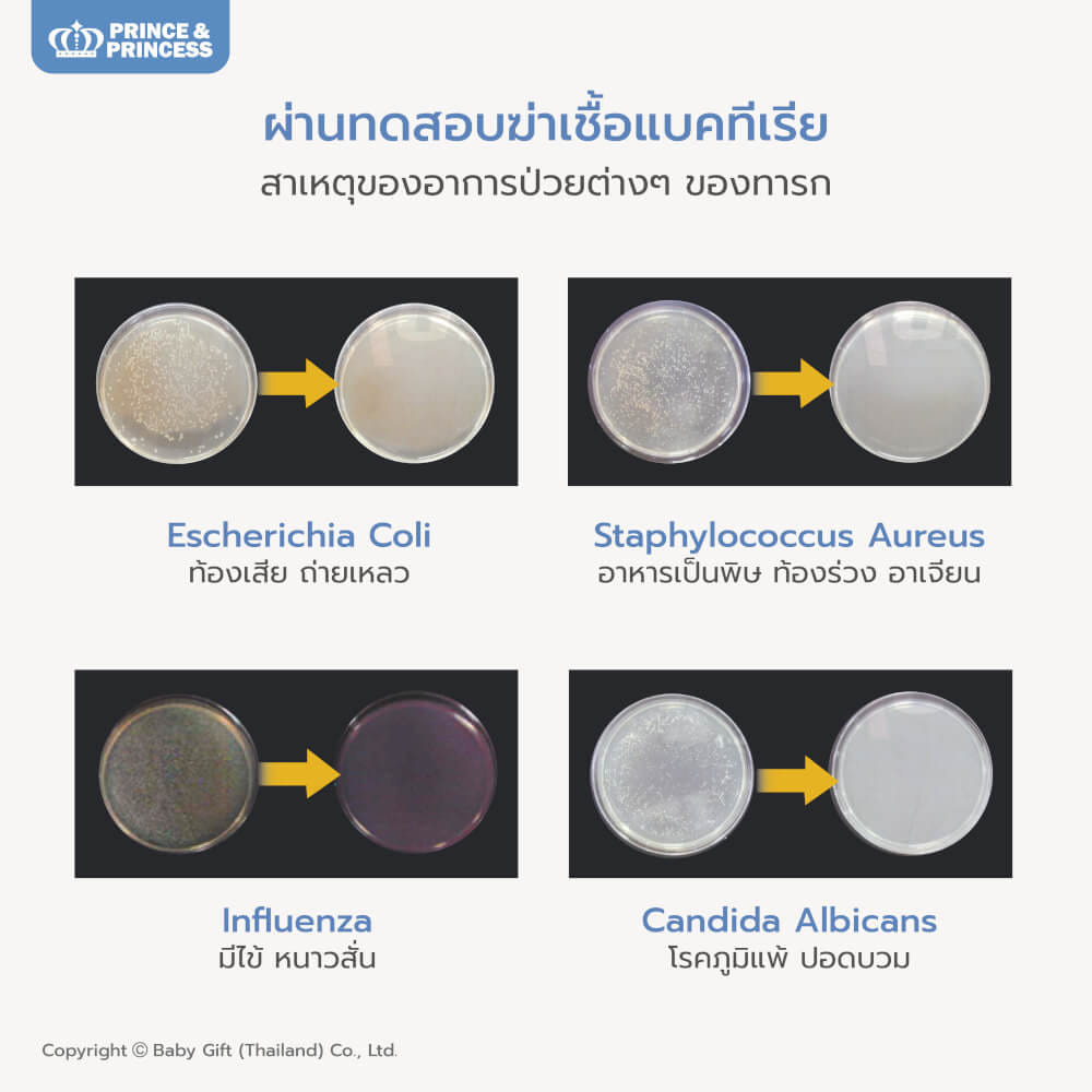 เครื่องอบยูวี PRINCE & PRINCESS รุ่น UV GEN 3 LED_3