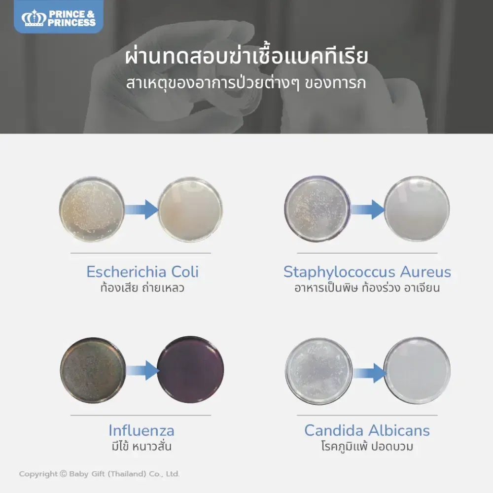 เครื่องอบยูวี PRINCE & PRINCESS รุ่น UV FLEX_6