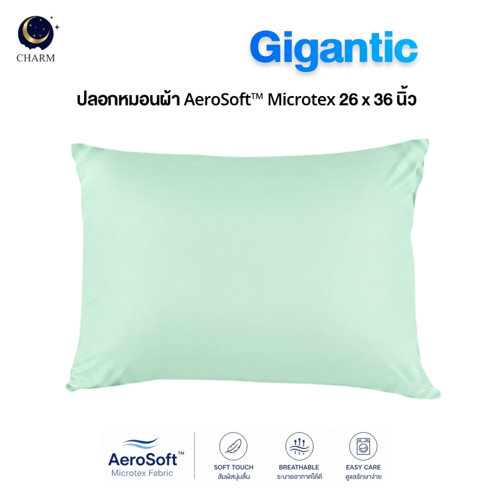 ปลอกหมอนหนุน CHARM AEROSOFT™ MICROTEX 26 X 36 นิ้ว สีเขียวมิ้นท์_1
