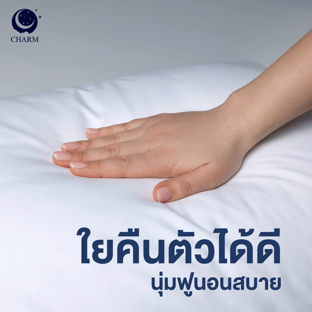 CHARM หมอนหนุน รุ่น AEROPLUSH ขนาด 20X32 นิ้ว ไมโครเจล DOWN ALTERNATIVE 800 กรัม นุ่มแน่น ระดับโรงแรม