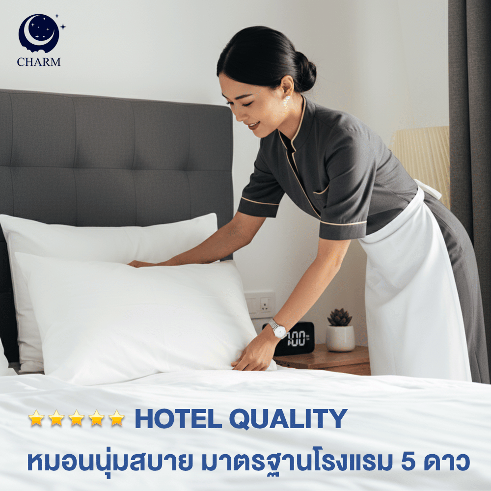 CHARM หมอนหนุน รุ่น AEROPLUSH ขนาด 20X32 นิ้ว ไมโครเจล DOWN ALTERNATIVE 800 กรัม นุ่มแน่น ระดับโรงแรม
