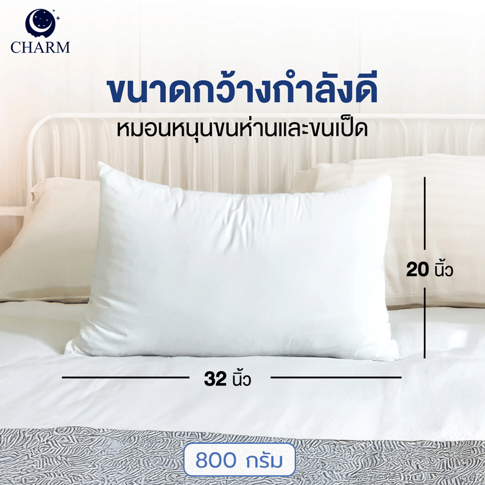 CHARM หมอนหนุน รุ่น AEROPLUSH ขนาด 20X32 นิ้ว ไมโครเจล DOWN ALTERNATIVE 800 กรัม นุ่มแน่น ระดับโรงแรม
