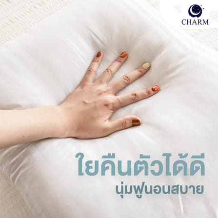 CHARM หมอนลายการ์ตูน 17X27 นิ้ว ลาย NAVY BEAR_3