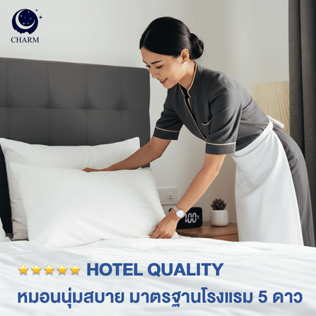 CHARM หมอนหนุน รุ่น AEROPLUSH ขนาด 20X32 นิ้ว ไมโครเจล DOWN ALTERNATIVE 800 กรัม นุ่มแน่น ระดับโรงแรม_3