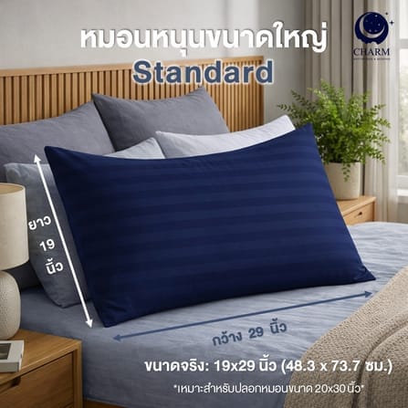 หมอนหนุน CHARM SWEET DREAM ซื้อ 1 แถม 1 ขนาด 19X29 นิ้ว 1000 กรัม สี STEEL BLUE_3