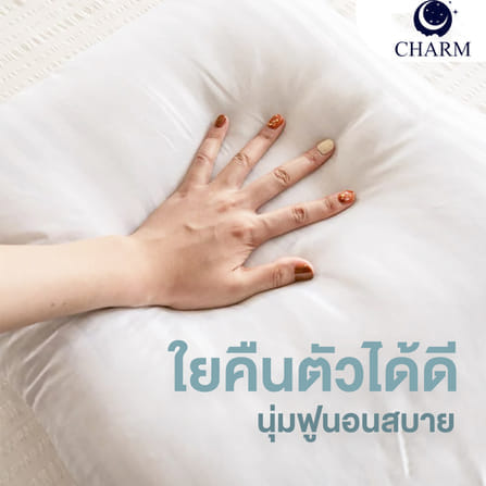 หมอนลายการ์ตูน CHARM ขนาด 17X27 นิ้ว – ลาย SUGAR BEAR_4
