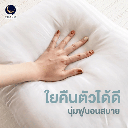 CHARM ชุดหมอน SWEET DREAM | หมอนหนุน 19