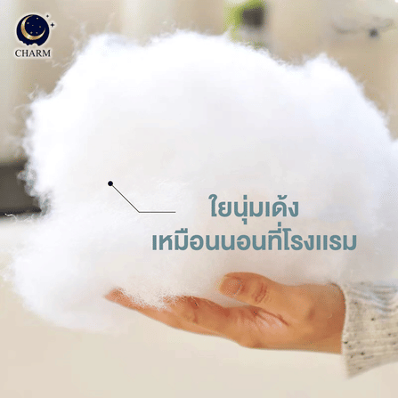 CHARM ชุดหมอน SWEET DREAM | หมอนหนุน 19
