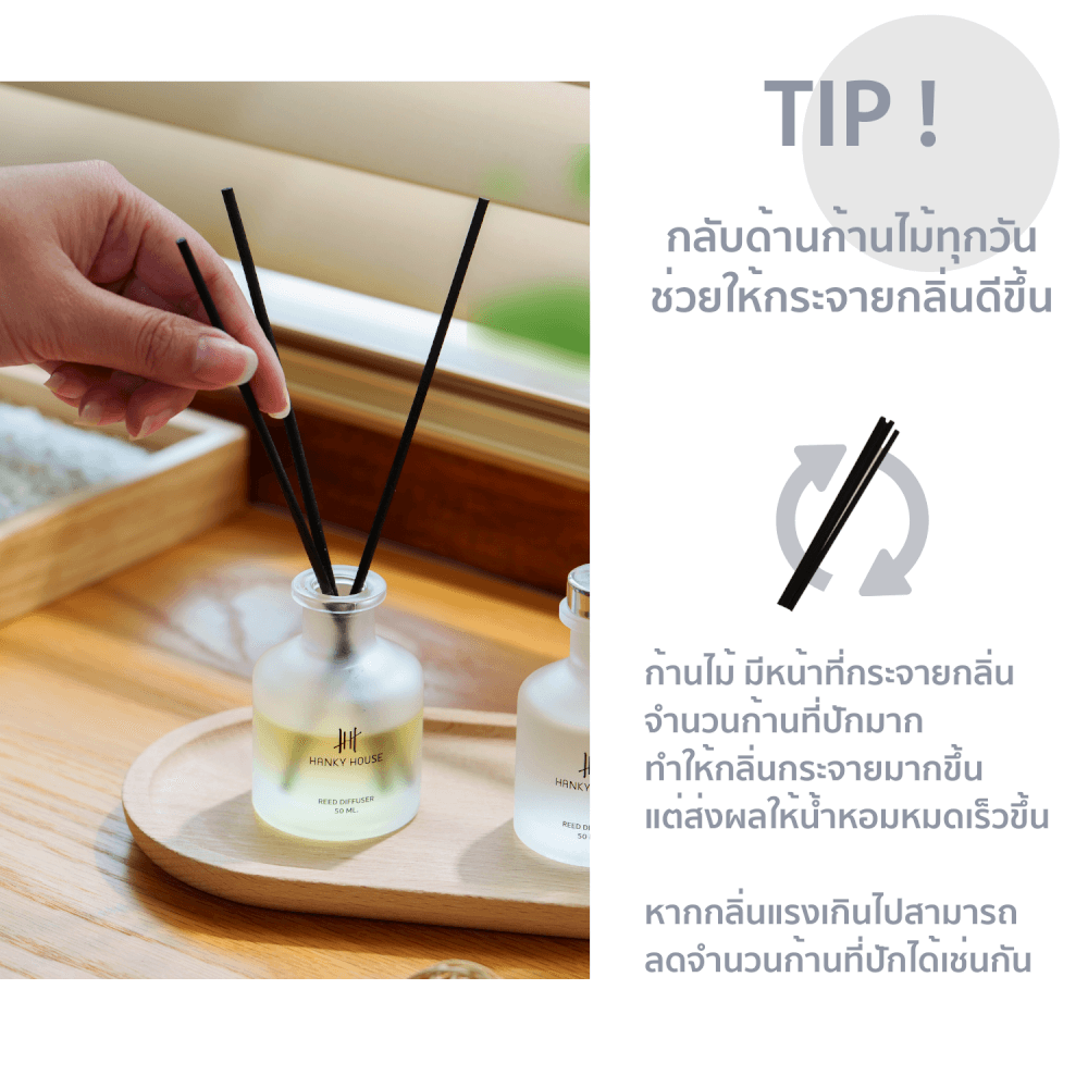 ชุดก้านไม้หอมปรับอากาศ HANKY HOUSE 50มล. Lemongrass