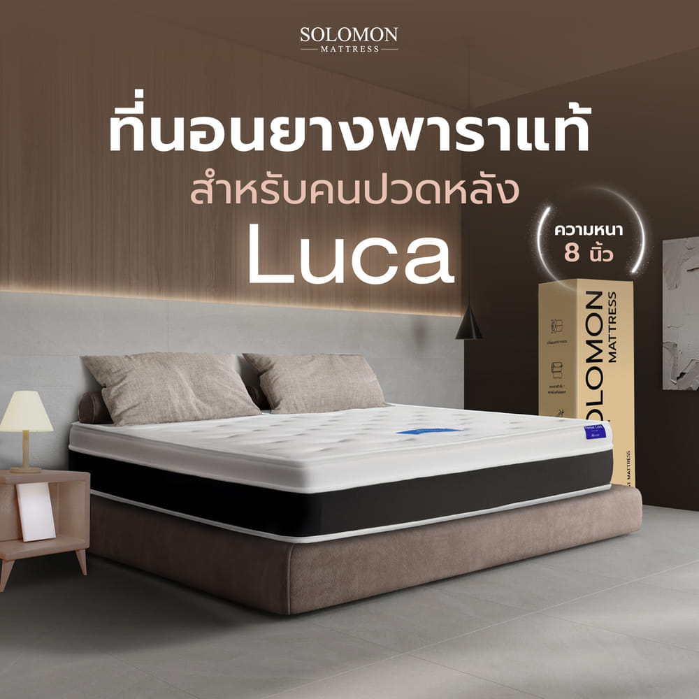 ที่นอน 5 ฟุต SOLOMON รุ่น LUCA หนา 8 นิ้ว
