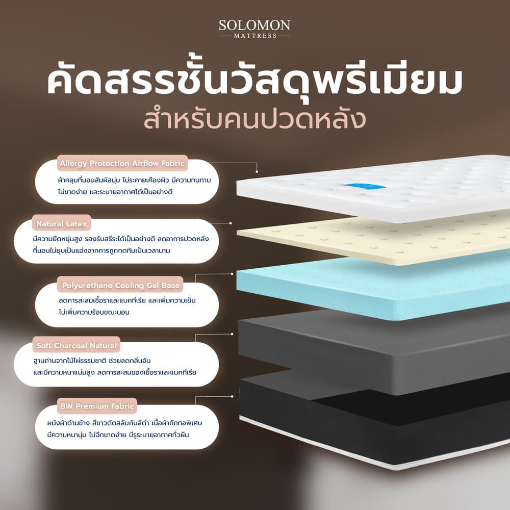 ที่นอน 5 ฟุต SOLOMON รุ่น LUCA หนา 8 นิ้ว
