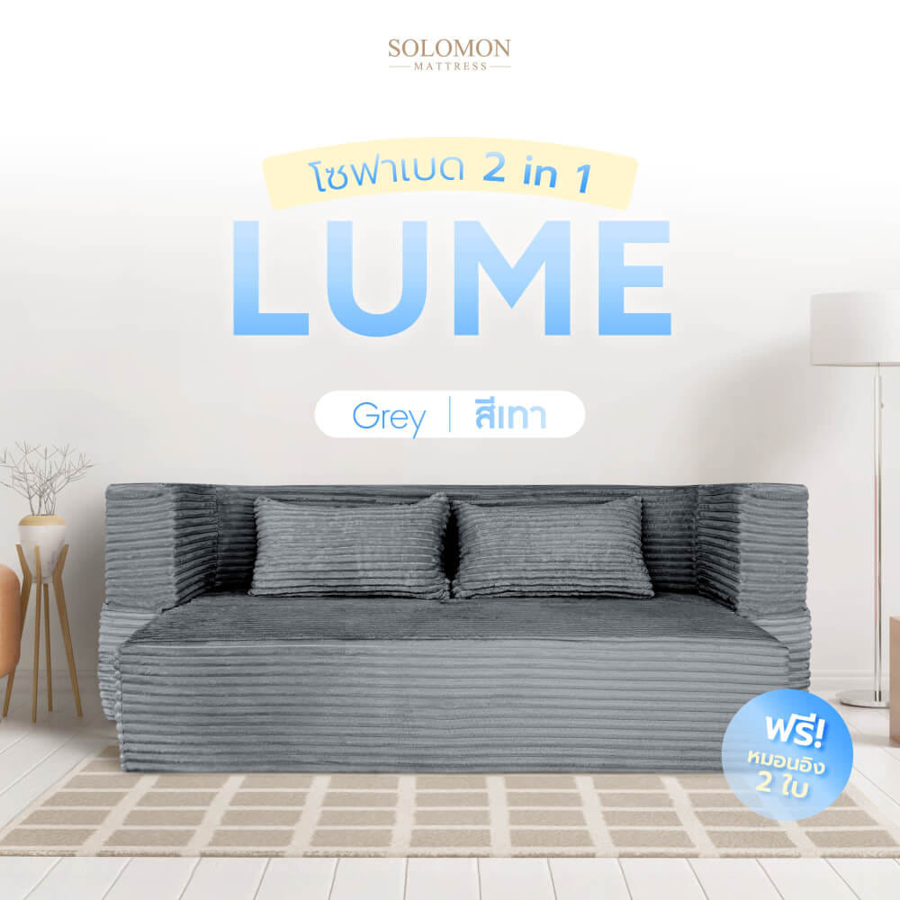 โซฟาเบด SOLOMON รุ่น LUME สีเทา จัดส่งแบบอัดสุญญากาศ_2