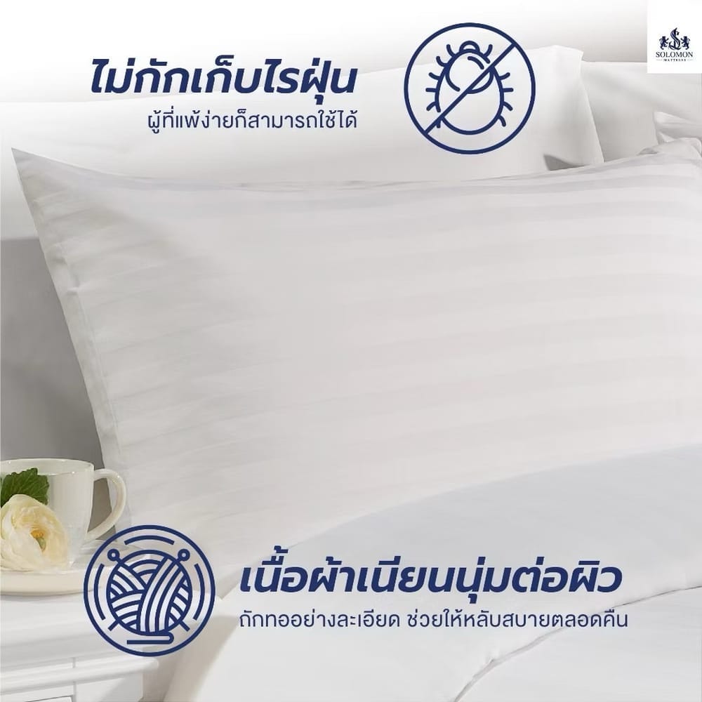 ชุดผ้าปูที่นอน 6 ฟุต เซท 5 ชิ้น SOLOMON สีขาว