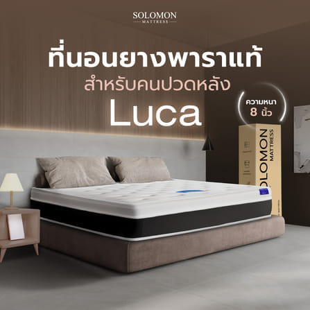 ที่นอน 5 ฟุต SOLOMON รุ่น LUCA หนา 8 นิ้ว_1
