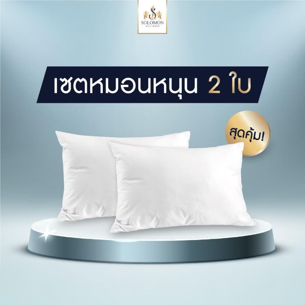 เซทหมอนหนุน 2 ใบ SOLOMON_1