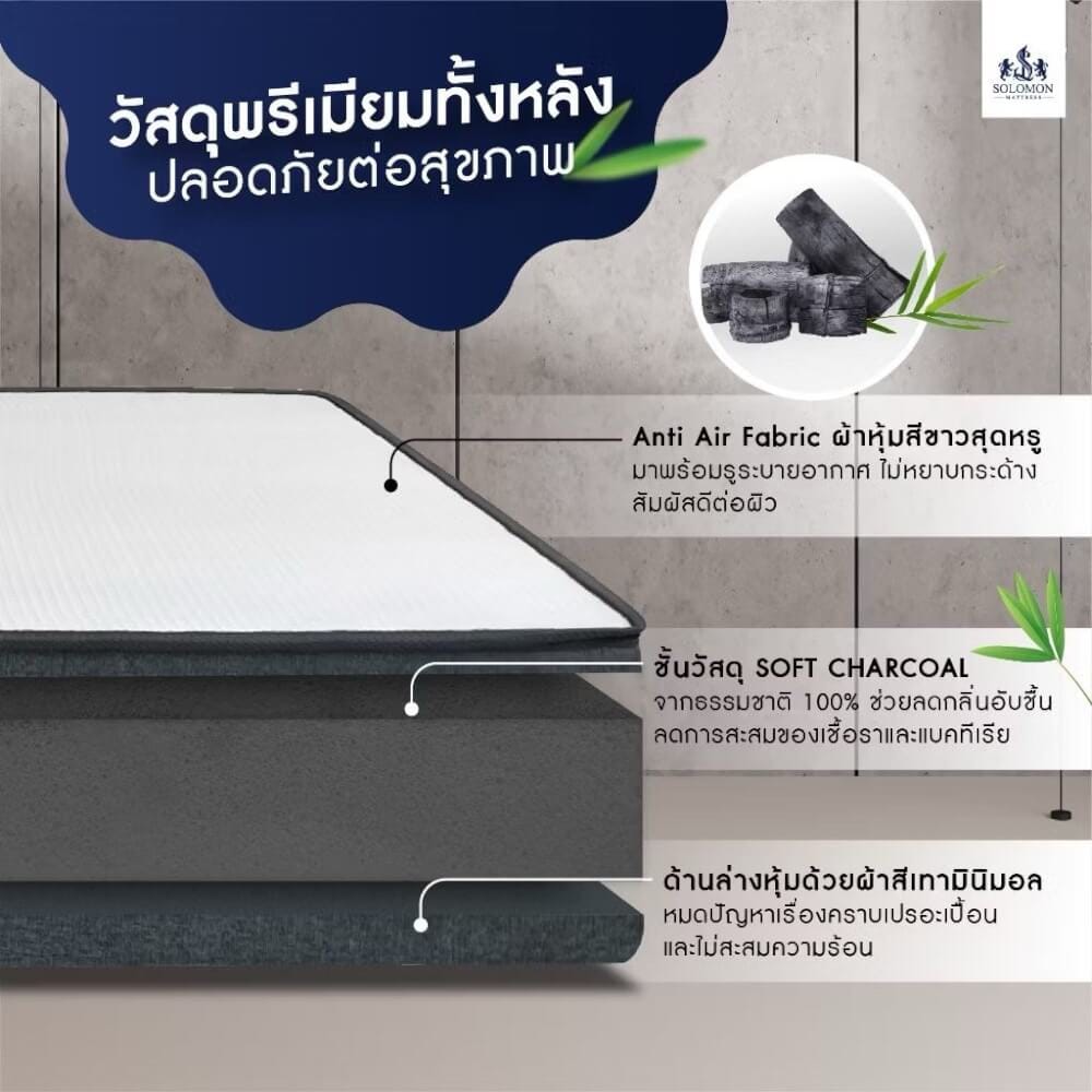ที่นอน 6 ฟุต SOLOMON รุ่น ดูดวิญญาณ หนา 4 นิ้ว_2