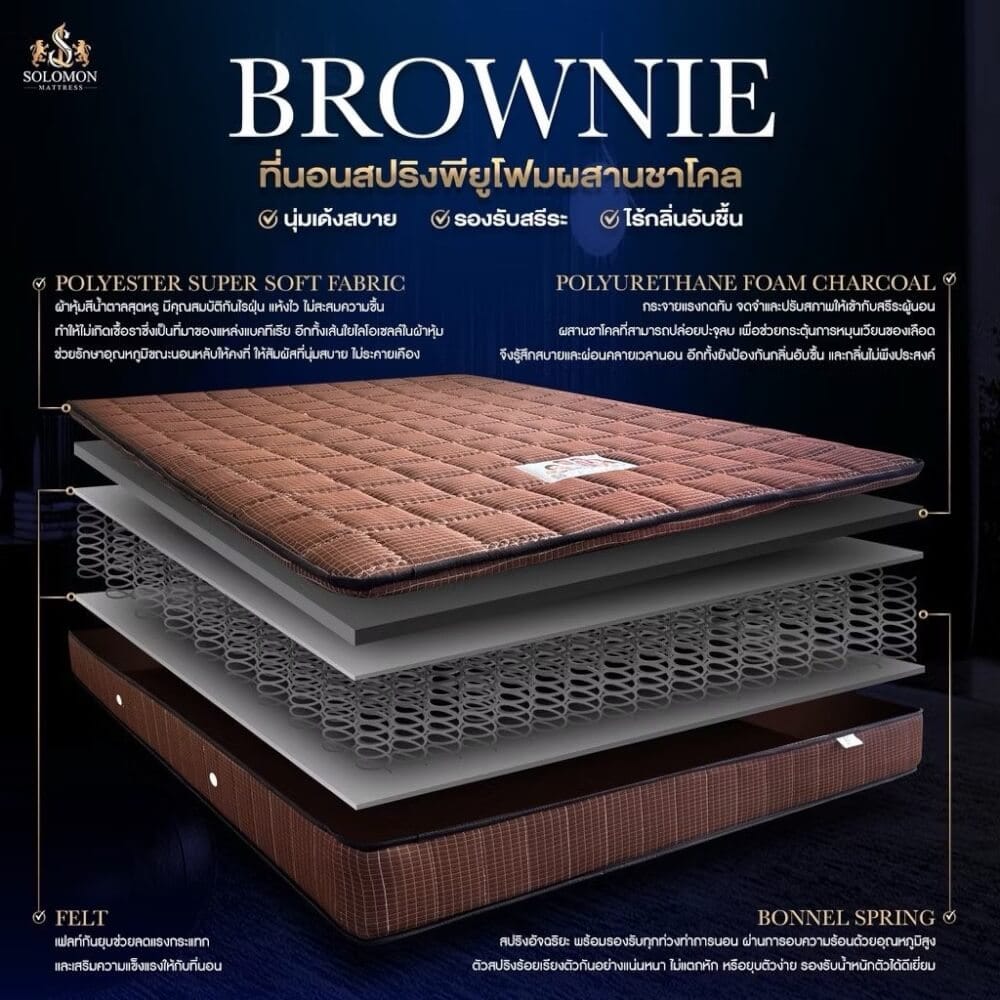 ที่นอน 5 ฟุต SOLOMON รุ่น BROWNIE หนา 10 นิ้ว _2
