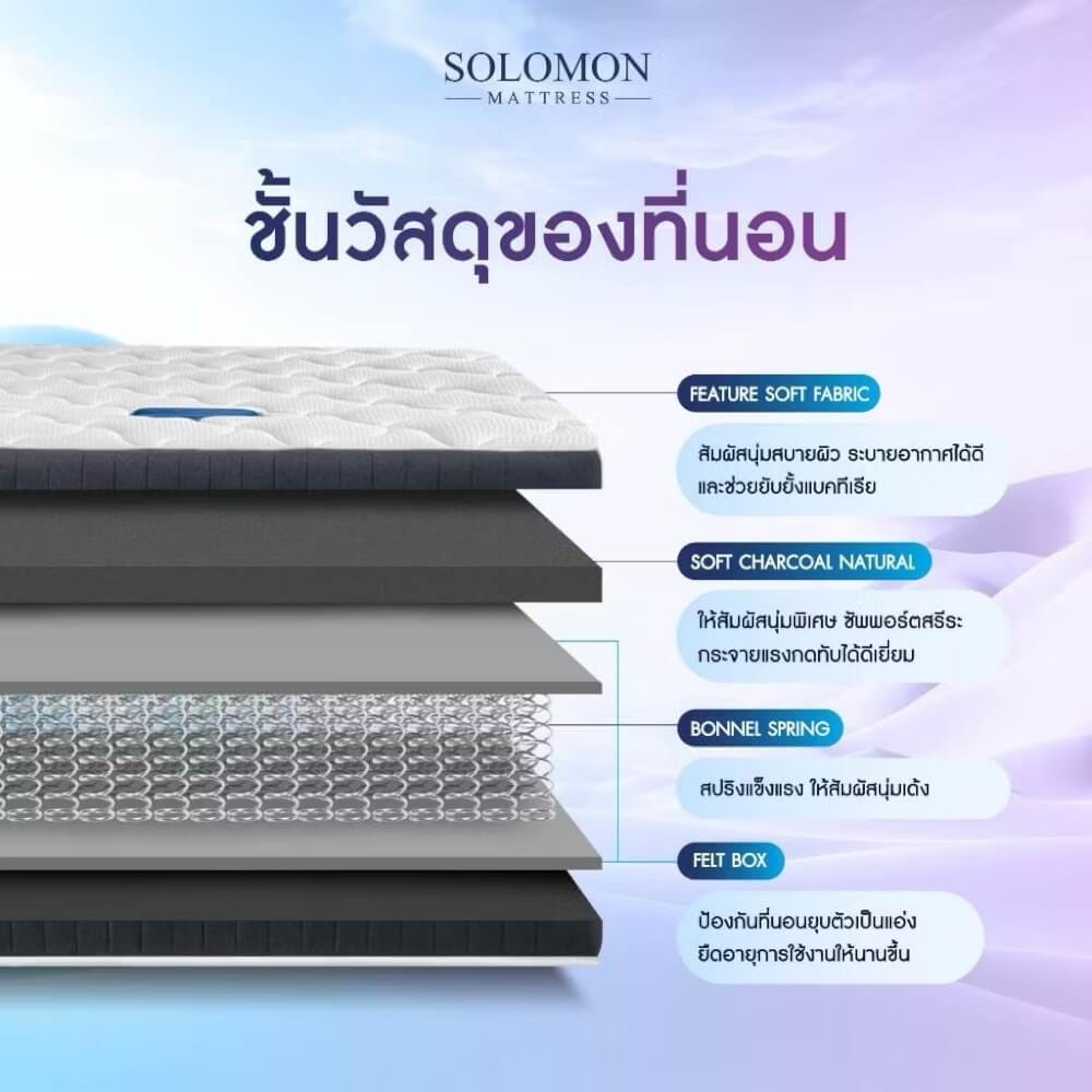 ที่นอน 6 ฟุต SOLOMON รุ่น PYLA PLUS หนา 9 นิ้ว _2