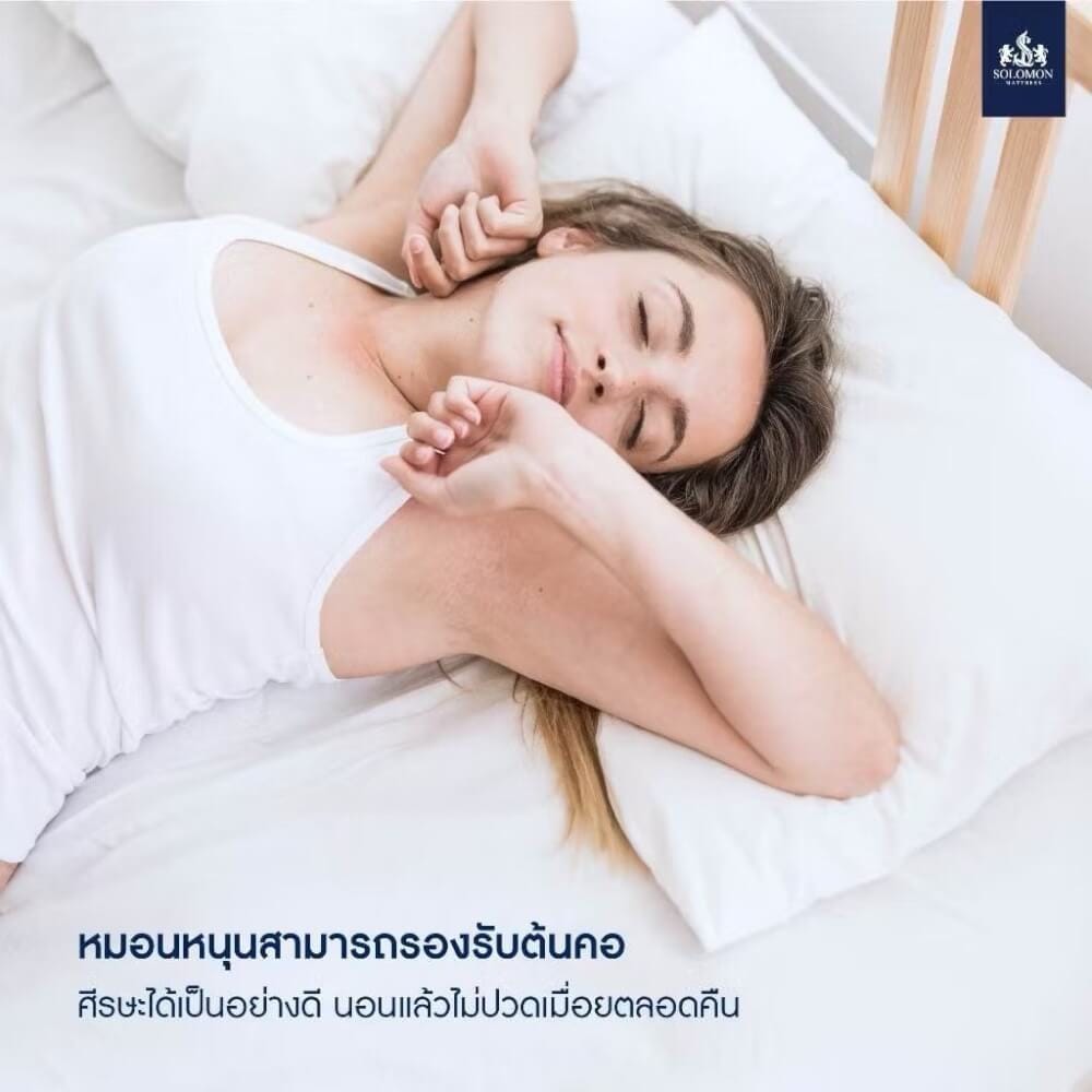 ชุดหมอนหนุน 2 ใบ + หมอนข้าง 1 ใบ SOLOMON_3