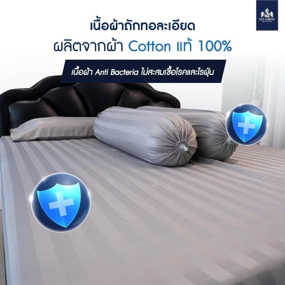 ชุดผ้าปูที่นอน 3.5 ฟุต เซท 3 ชิ้น SOLOMON สีเทา_3