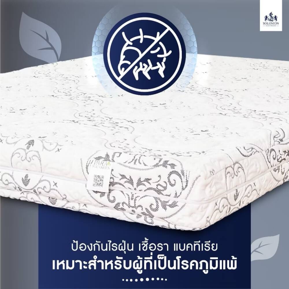ที่นอนยางพารา 5 ฟุต SOLOMON รุ่น SEVEN ZONE หนา 6 นิ้ว แถมหมอนหนุน 2 ใบ หมอนข้าง 1 ใบ_3