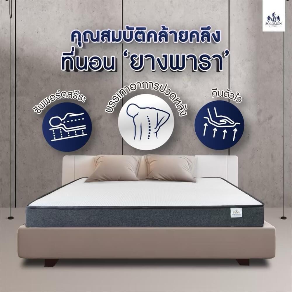 ที่นอน 6 ฟุต SOLOMON รุ่น ดูดวิญญาณ หนา 4 นิ้ว_4