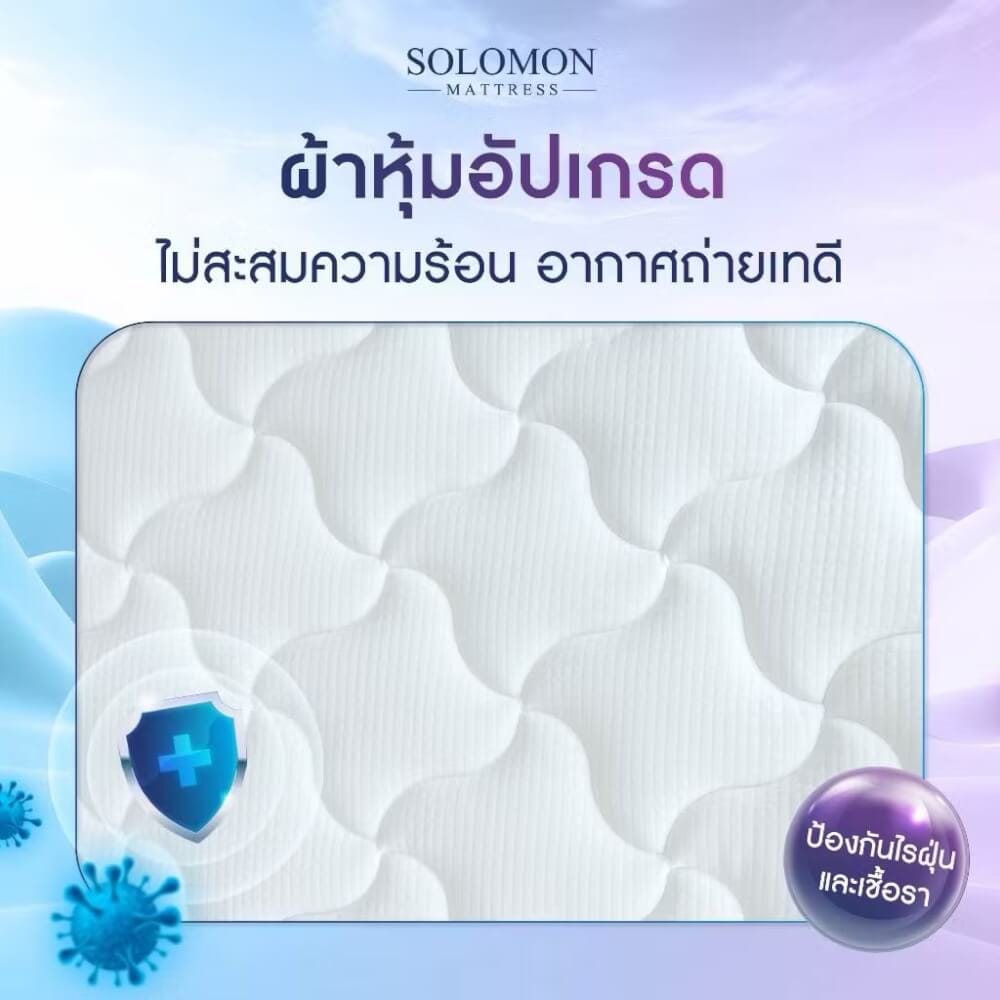 ที่นอน 5 ฟุต SOLOMON รุ่น PYLA PLUS หนา 9 นิ้ว _4