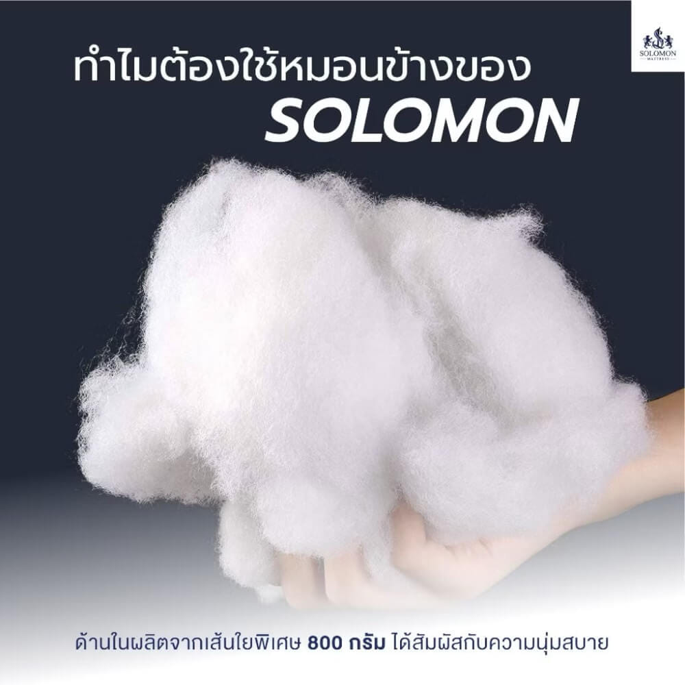 ชุดหมอนหนุน 2 ใบ + หมอนข้าง 1 ใบ SOLOMON_5