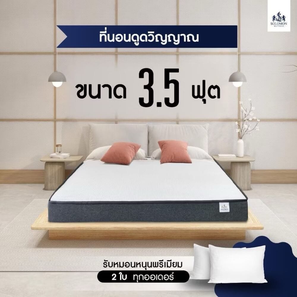 ที่นอน 6 ฟุต SOLOMON รุ่น ดูดวิญญาณ หนา 4 นิ้ว_5