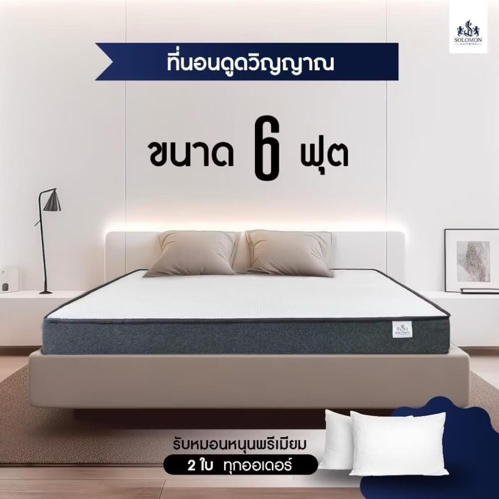ที่นอน 6 ฟุต SOLOMON รุ่น ดูดวิญญาณ หนา 4 นิ้ว_7