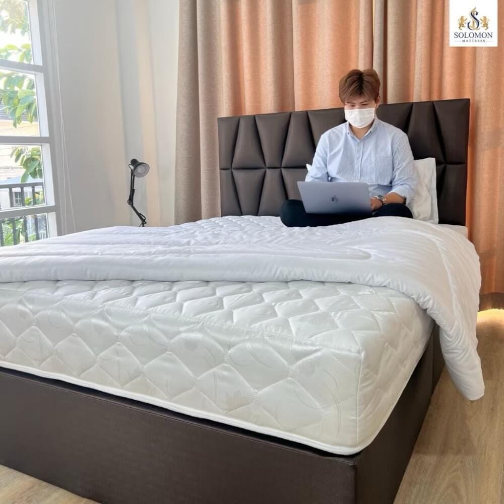 ที่นอน 6 ฟุต SOLOMON รุ่น MIYA PLUS สีขาว หนา 9 นิ้ว_5