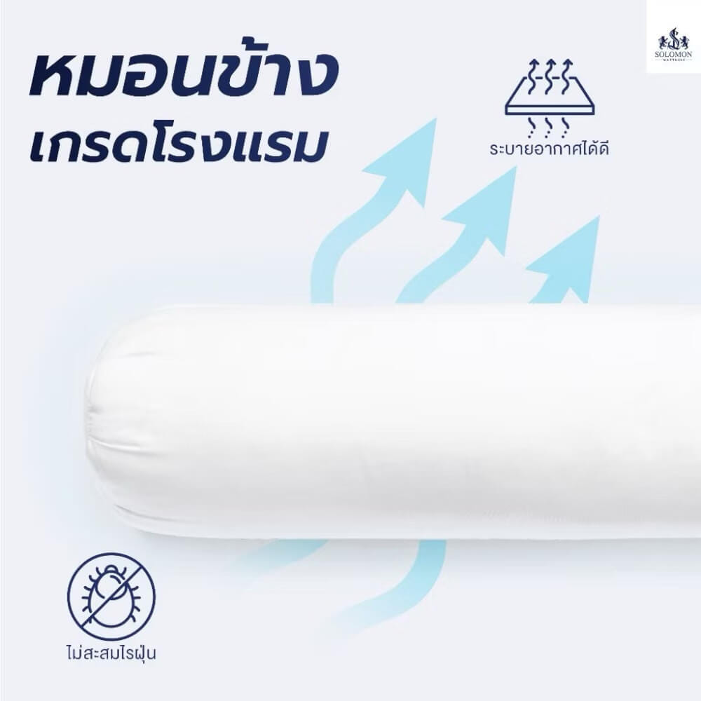 หมอนข้าง SOLOMON ขนาด 20X102 ซม._7