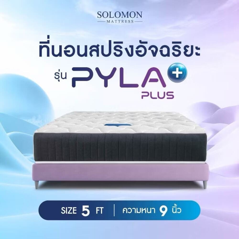 ที่นอน 5 ฟุต SOLOMON รุ่น PYLA PLUS หนา 9 นิ้ว _5
