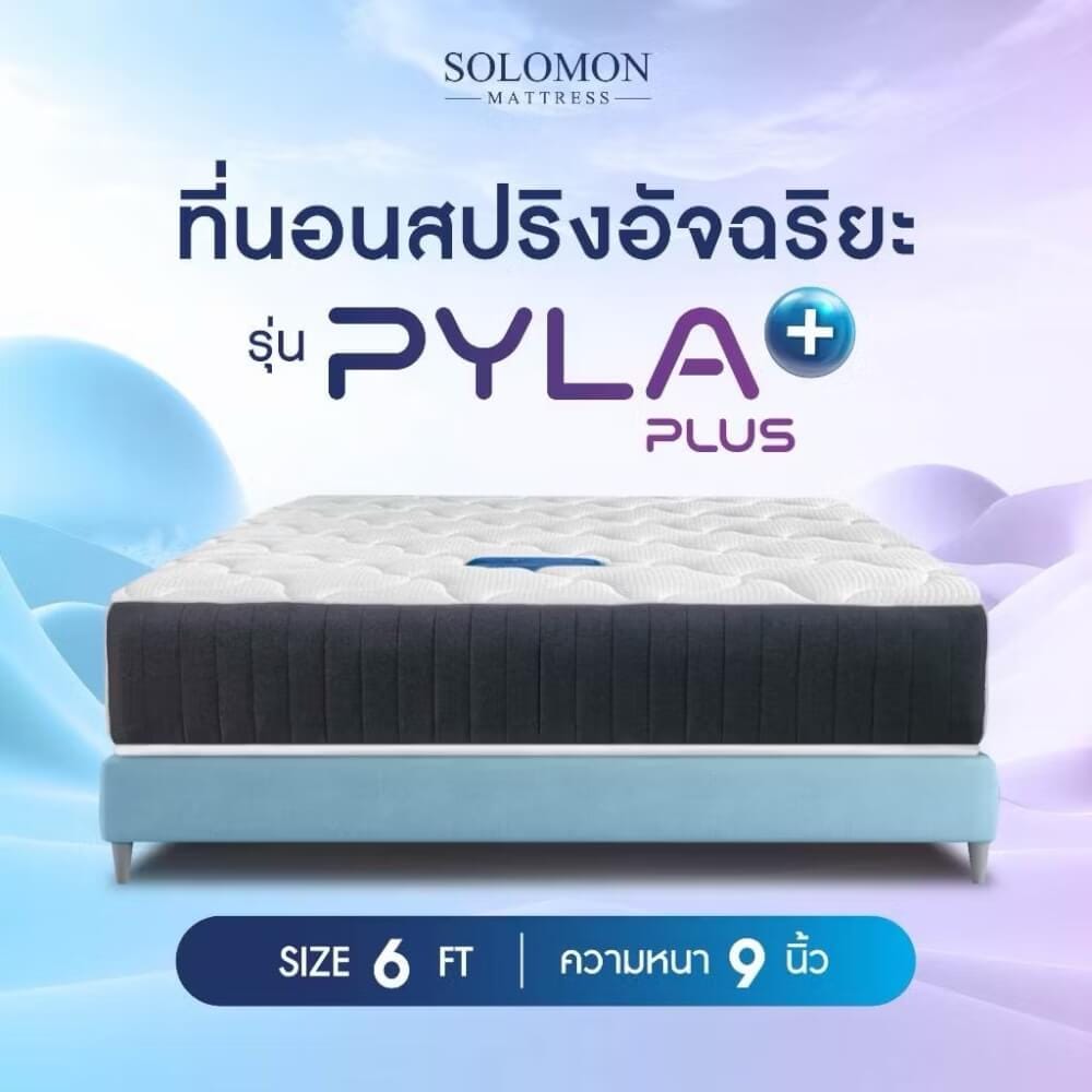 ที่นอน 6 ฟุต SOLOMON รุ่น PYLA PLUS หนา 9 นิ้ว _5
