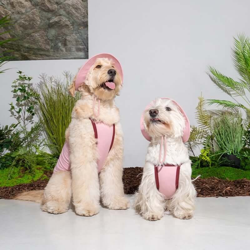 หมวกสัตว์เลี้ยง PUPPY GALLERY ไซซ์ M สีชมพู มาพร้อม Cooling Pads