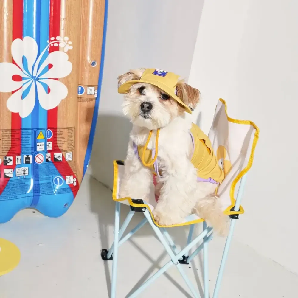 หมวกสัตว์เลี้ยง PUPPY GALLERY ไซซ์ S สีเหลือง มาพร้อม Cooling Pads