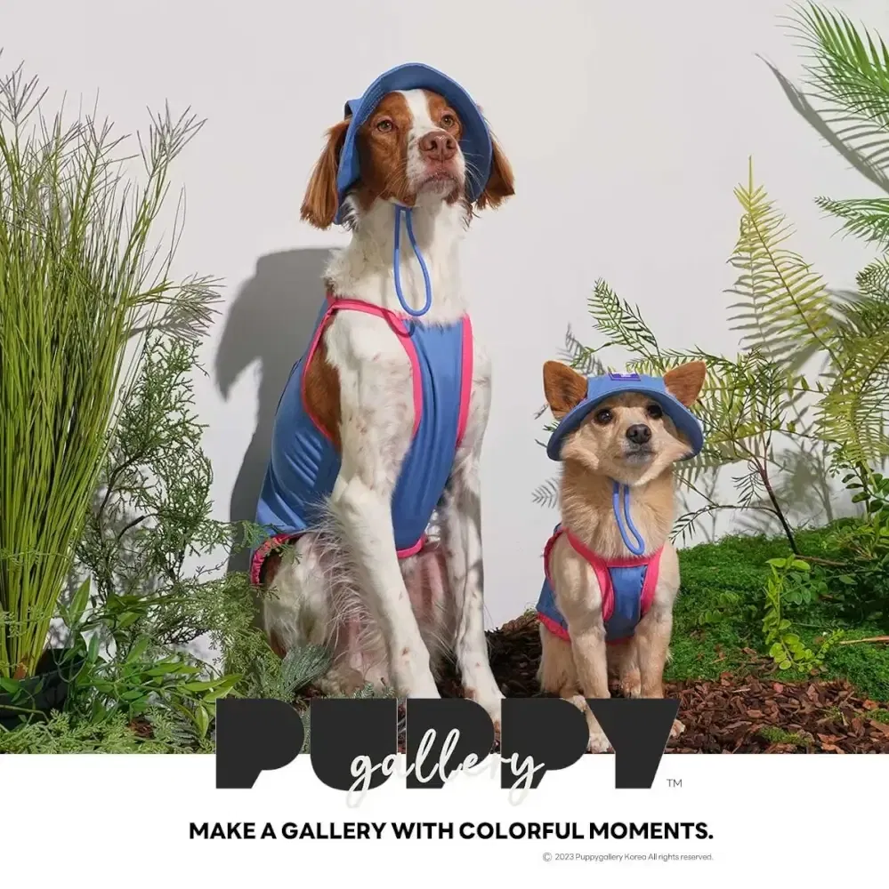 หมวกสัตว์เลี้ยง PUPPY GALLERY ไซซ์ XL สีฟ้า มาพร้อม Cooling Pads