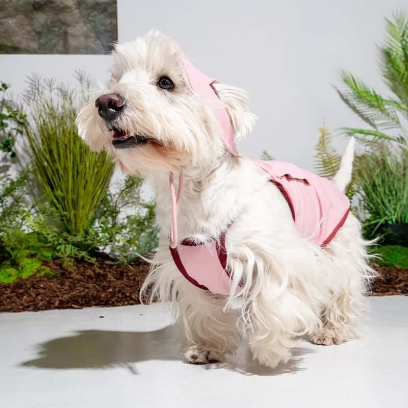 หมวกสัตว์เลี้ยง PUPPY GALLERY ไซซ์ M สีชมพู มาพร้อม Cooling Pads