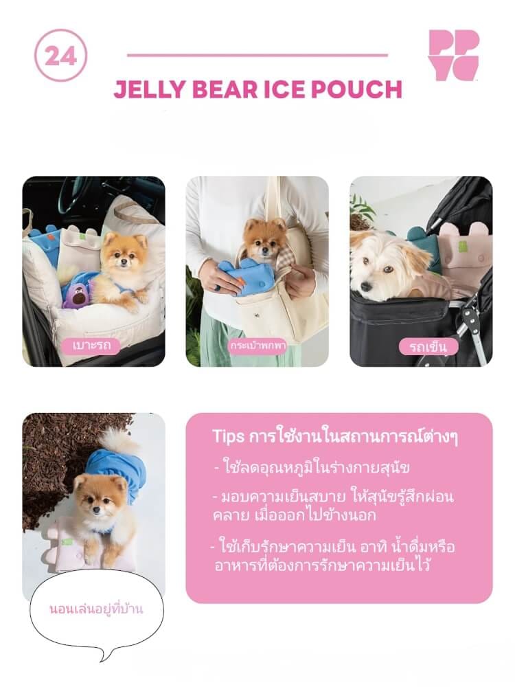 กระเป๋าเก็บความเย็นสำหรับสัตว์เลี้ยง PUPPY GALLERY Jelly Bear Ice Pouch สีเขียว